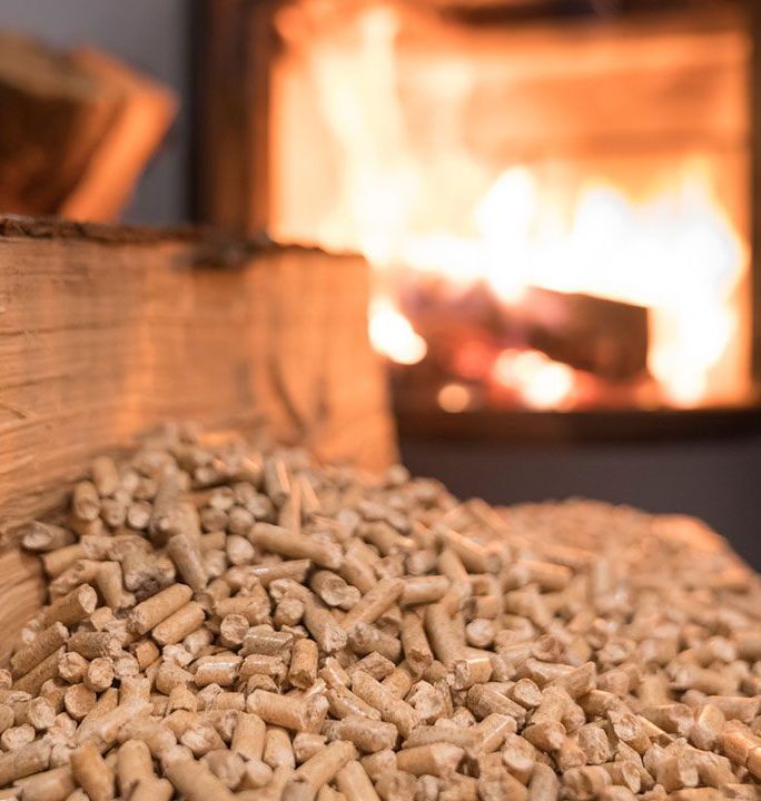 Młodzież w jachcie